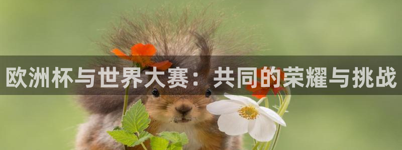 世界杯比赛：欧洲杯与世界大赛：共同的荣耀与挑战