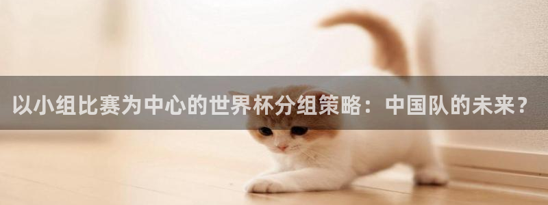 世界杯球队：以小组比赛为中心的世界杯分组策略：中国队的未来？
