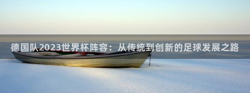 世界杯足球赛2026：德国队2023世界杯阵容：从传统到创新的足球发展之路