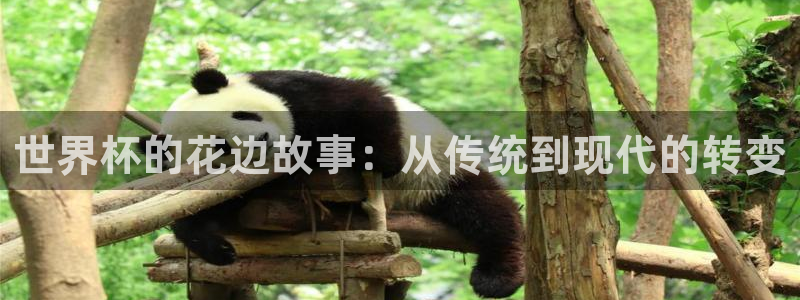 2026世界杯小组赛赛程时间表：世界杯的花边故事：从传统到现代的转变
