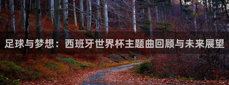 2026世界杯赛制:足球与梦想:西班牙世界杯主题曲回顾与未来展望