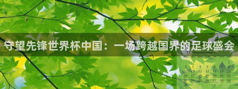 2026世界杯足球赛程时间表:守望先锋世界杯中国:一场跨越国界的足球盛会