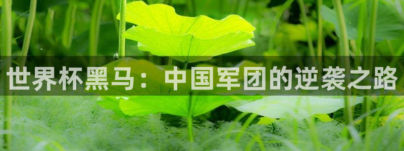 2026世界杯赛：世界杯黑马：中国军团的逆袭之路