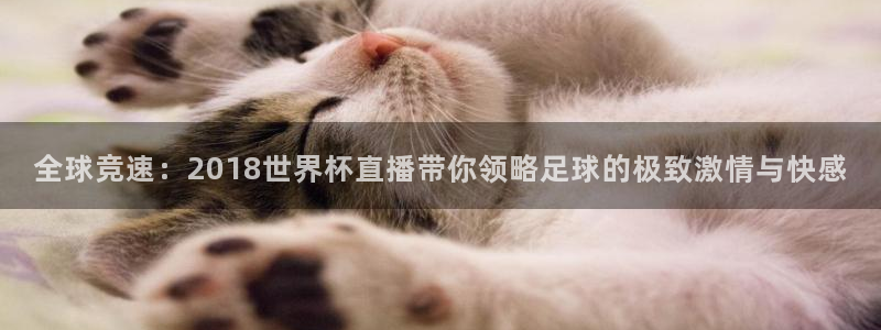2026年世界杯赛程表时间：全球竞速：2018世界杯直播带你领略足球的极致激情与快感
