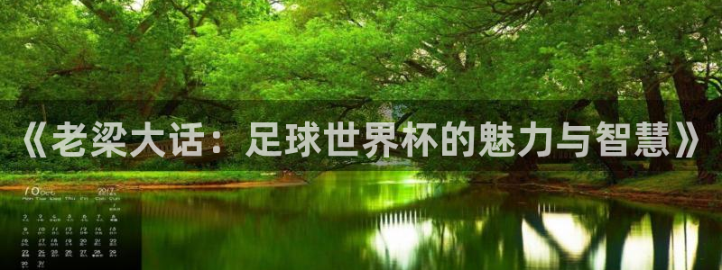 2026世界杯德国队阵容：《老梁大话：足球世界杯的魅力与智慧》
