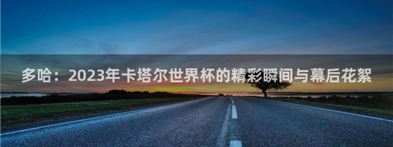 世界杯对阵图2026：多哈：2023年卡塔尔世界杯的精彩瞬间与幕后花絮