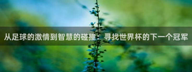 2026足球世界杯：从足球的激情到智慧的碰撞：寻找世界杯的下一个冠军
