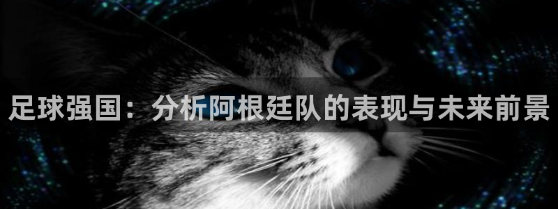 世界杯预选赛赛程表：足球强国：分析阿根廷队的表现与未来前景