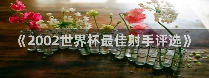 世界杯足球赛：《2002世界杯最佳射手评选》